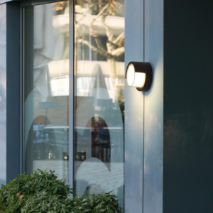 Olin Outdoor Wall Light